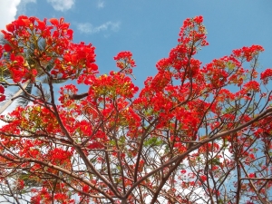 название этого очень высокого аквариума где он находится