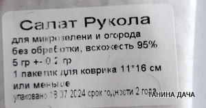 Микрозелень. Салат руккола