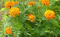 Средства защиты
