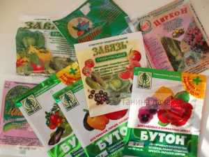 Редис. Чем и когда удобрять