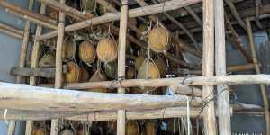 Дыни. Хранение в зимний период