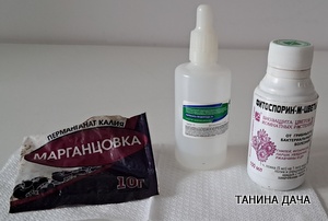 Подготовка семян к посеву. Выращивание на юге